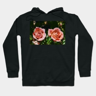 Peach patio roses Hoodie